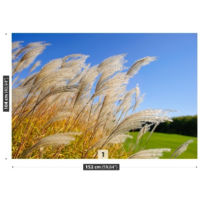 Mural de parede Junco azul