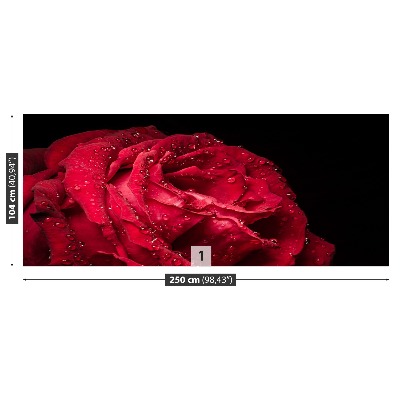 Papel de parede Rosa vermelha