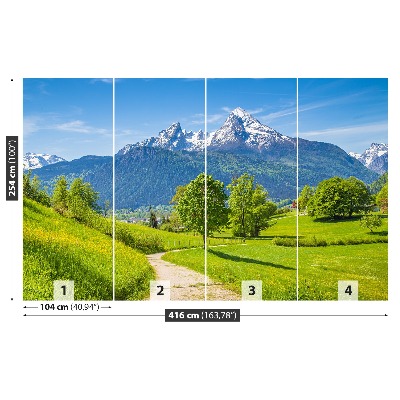 Papel de parede Alpes de verão