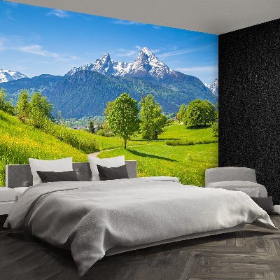 Papel de parede Alpes de verão