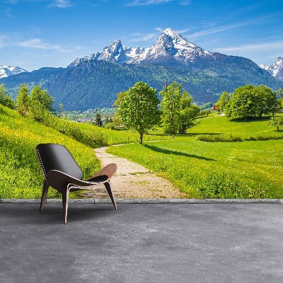 Papel de parede Alpes de verão