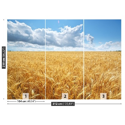 Mural de parede Campo de trigo