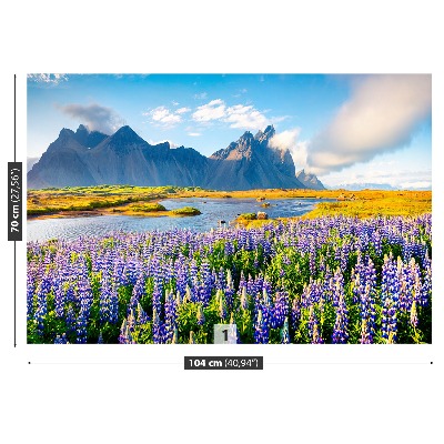 Papel de parede Flores de tremoço