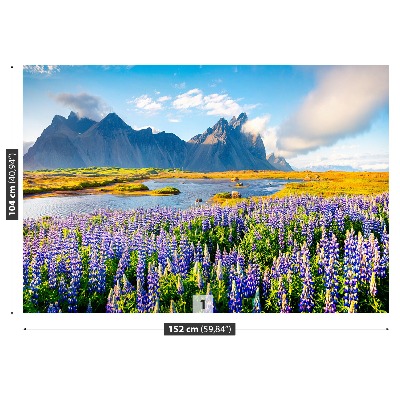 Papel de parede Flores de tremoço