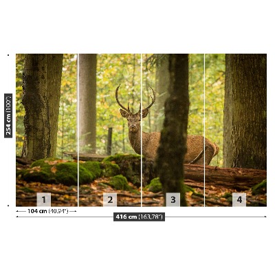 Papel de parede Floresta de veados