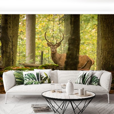 Papel de parede Floresta de veados