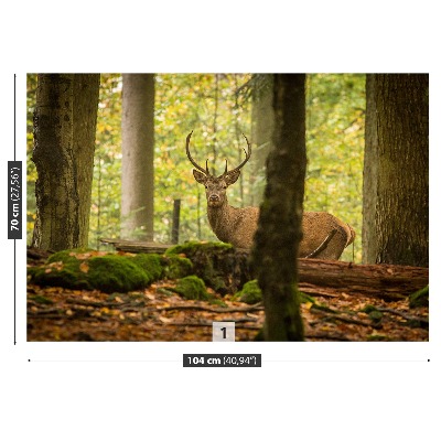 Papel de parede Floresta de veados