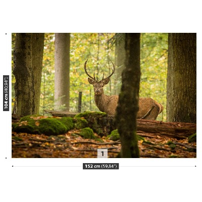 Papel de parede Floresta de veados