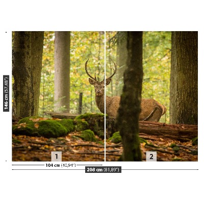 Papel de parede Floresta de veados