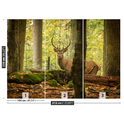 Papel de parede Floresta de veados