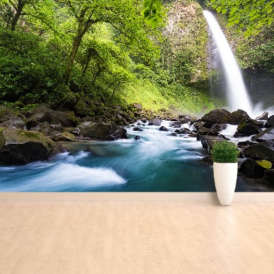 Mural de parede Cachoeira da Costa Rica