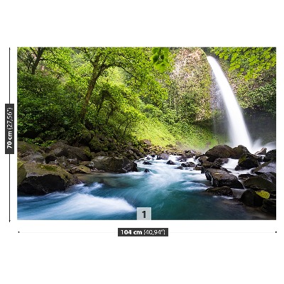 Mural de parede Cachoeira da Costa Rica