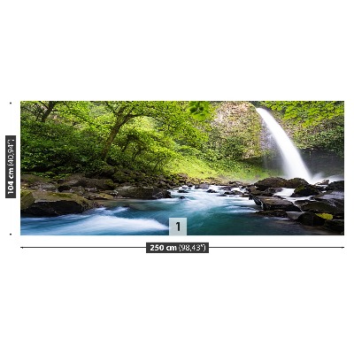 Mural de parede Cachoeira da Costa Rica