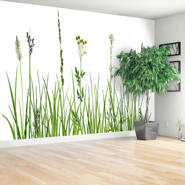 Mural de parede Ervas Grama