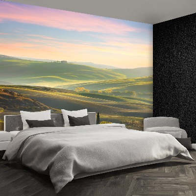 Papel de parede Ciprestes da Toscana