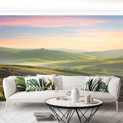 Papel de parede Ciprestes da Toscana