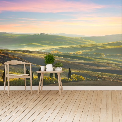 Papel de parede Ciprestes da Toscana