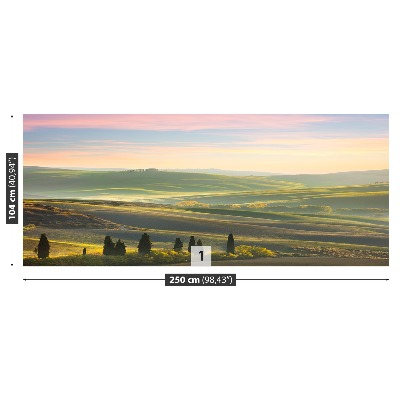 Papel de parede Ciprestes da Toscana