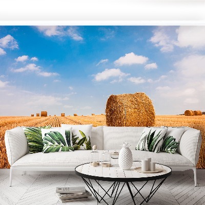 Mural de parede fardos de palha