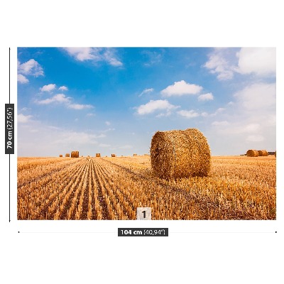 Mural de parede fardos de palha