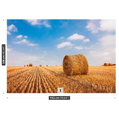 Mural de parede fardos de palha