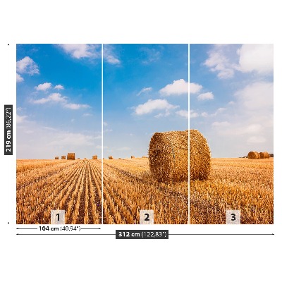 Mural de parede fardos de palha