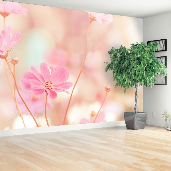 Mural de parede Cosmos Flores Rosa