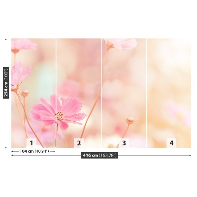 Mural de parede Cosmos Flores Rosa