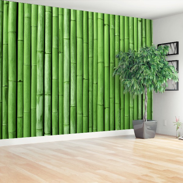 Papel de parede Bambu Verde