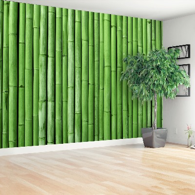 Papel de parede Bambu Verde