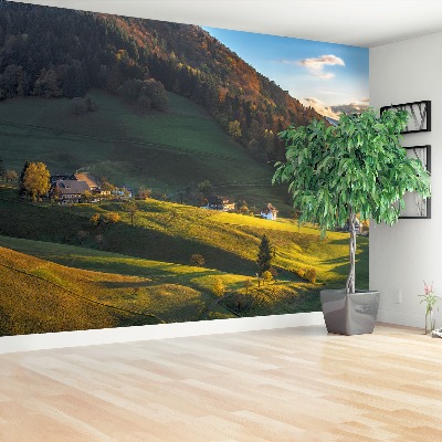 Mural de parede Vale