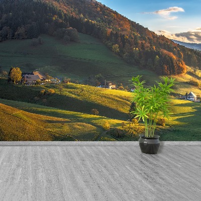 Mural de parede Vale