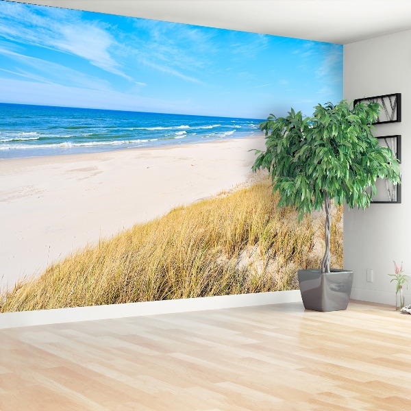 Papel de parede Areia e grama