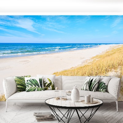 Papel de parede Areia e grama