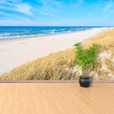 Papel de parede Areia e grama