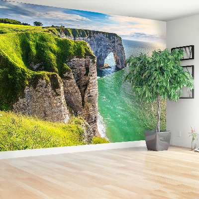 Papel de parede Penhascos da Normandia
