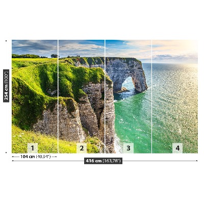 Papel de parede Penhascos da Normandia