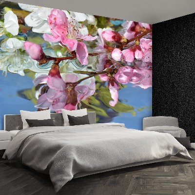 Papel de parede Água de flor de cerejeira