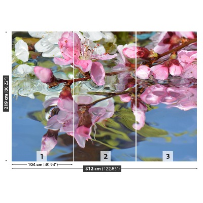Papel de parede Água de flor de cerejeira