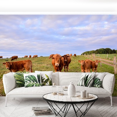 Papel de parede Vacas