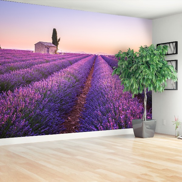 Papel de parede Lavanda Provença