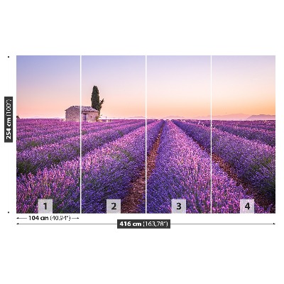 Papel de parede Lavanda Provença