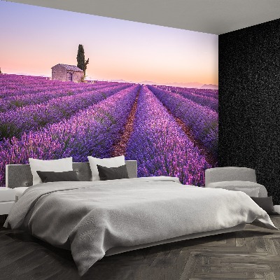Papel de parede Lavanda Provença
