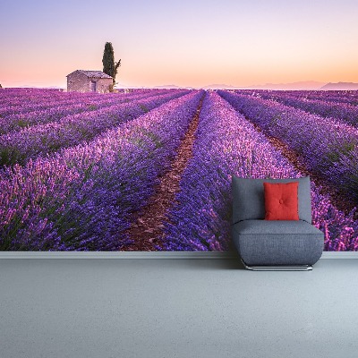 Papel de parede Lavanda Provença
