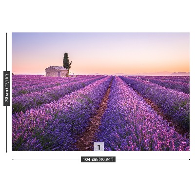 Papel de parede Lavanda Provença