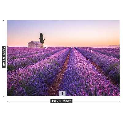 Papel de parede Lavanda Provença