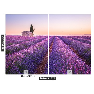 Papel de parede Lavanda Provença