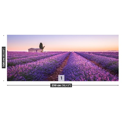 Papel de parede Lavanda Provença