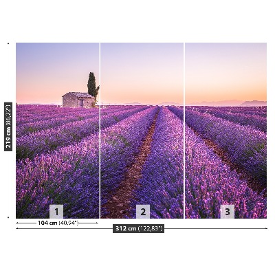 Papel de parede Lavanda Provença