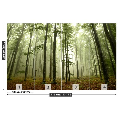 Papel de parede Floresta enevoada